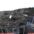 19_25-nest.jpg
