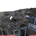 19_30-nest.jpg