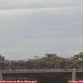 07_05-mast.jpg