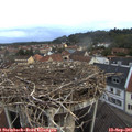 07_10-nest.jpg