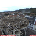 07_15-nest.jpg