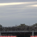 07_20-mast.jpg