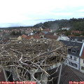 07_20-nest.jpg