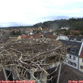 07_25-nest.jpg
