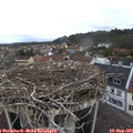 07_30-nest.jpg