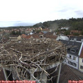 07_35-nest.jpg