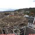 07_40-nest.jpg