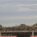 07_45-mast.jpg
