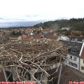 07_45-nest.jpg