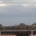 07_55-mast.jpg
