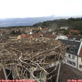 07_55-nest.jpg