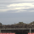 08_00-mast.jpg