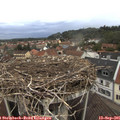 08_00-nest.jpg