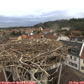 08_05-nest.jpg