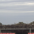 08_10-mast.jpg