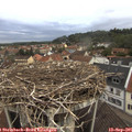 08_10-nest.jpg