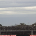 08_15-mast.jpg