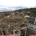 08_15-nest.jpg