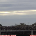 08_20-mast.jpg