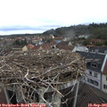 08_25-nest.jpg