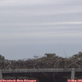08_30-mast.jpg
