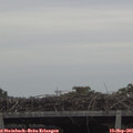 08_35-mast.jpg