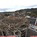 08_35-nest.jpg
