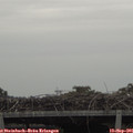 08_40-mast.jpg