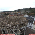 08_40-nest.jpg