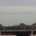 08_45-mast.jpg