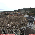 08_50-nest.jpg
