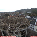 08_55-nest.jpg