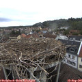 09_05-nest.jpg
