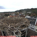 09_10-nest.jpg