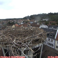 09_15-nest.jpg