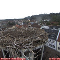 09_20-nest.jpg