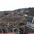09_25-nest.jpg