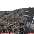 09_30-nest.jpg
