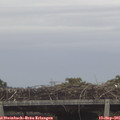 09_35-mast.jpg