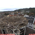 09_45-nest.jpg