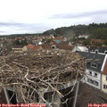 09_55-nest.jpg