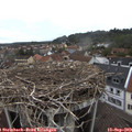 10_00-nest.jpg