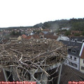 10_10-nest.jpg
