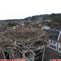 10_25-nest.jpg