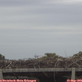 10_30-mast.jpg