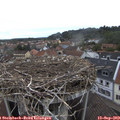 10_30-nest.jpg