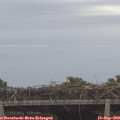 10_35-mast.jpg