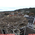 10_35-nest.jpg
