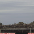 10_40-mast.jpg