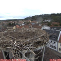 10_40-nest.jpg